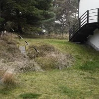 Louis Poulsen AJ Garden outdoor led bollard Louis Poulsen AJ Garden outdoor led bollard