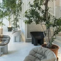 Driade Roly Poly decorative armchair Driade Roly Poly decorative armchair