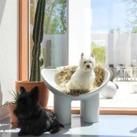 Driade Roly Poly decorative armchair Driade Roly Poly decorative armchair