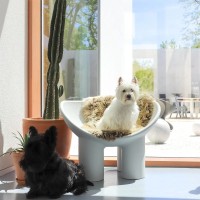 Driade Roly Poly poltrona decorativa