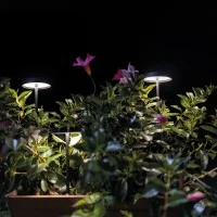 Linea Light picchetto per paletto led Pistillo