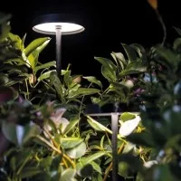 Linea Light spike for Pistillo led bollard