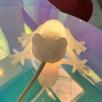 Qeeboo Hungry Frog table lamp Qeeboo Hungry Frog table lamp