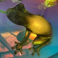 Qeeboo Hungry Frog table lamp Qeeboo Hungry Frog table lamp