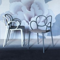 Driade Sissi decorative chair 4 pcs.