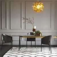 Driade Costes decorative armchair