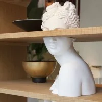 Driade Venus bookcase Driade Venus bookcase