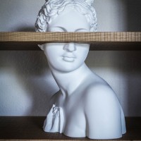 Driade Venus bookcase