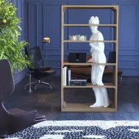 Driade Venus bookcase Driade Venus bookcase