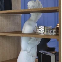 Driade Venus libreria Driade Venus libreria