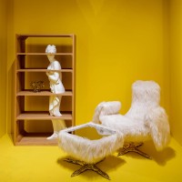 Driade Venus bookcase