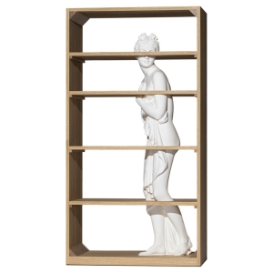Driade Venus libreria