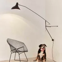 DCW Mantis BS2 wall lamp