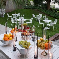 Driade PIP-e chair set 4 pcs