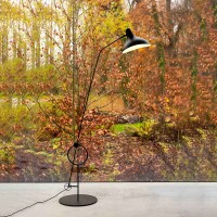 DCW Mantis BS8 L floor lamp