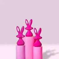 Slide Design Bunny decorative complement