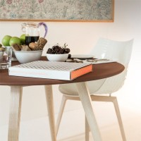 Driade Meridiana chair in ash wood