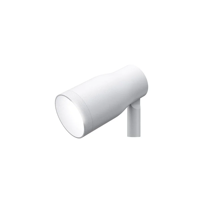 Flos Landlord Spot 50 adjustable spotlight IP66 Flos Landlord Spot 50 adjustable spotlight IP66