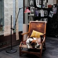 DCW Lampe Gras 215 floor lamp