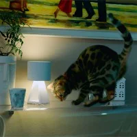 Vivida Pup Metal 20 led table lamp