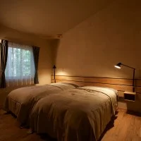 Louis Poulsen NJP Long Arm wall lamp