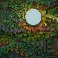 Luceplan Nui D led wall lamp