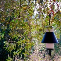 Martinelli Luce schermo per Pistillo small Martinelli Luce schermo per Pistillo small