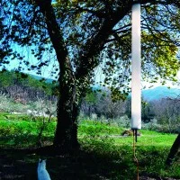 Martinelli Luce Pistillo lampada a sospensione led Martinelli Luce Pistillo lampada a sospensione led