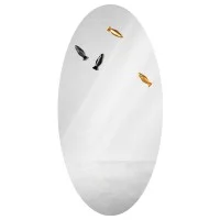 Minotti Bird Watch Mirror 180