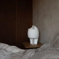DCW La Lampe B table lamp DCW La Lampe B table lamp