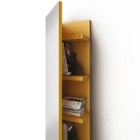 Minotti Ambrogio specchio contenitore Minotti Ambrogio specchio contenitore