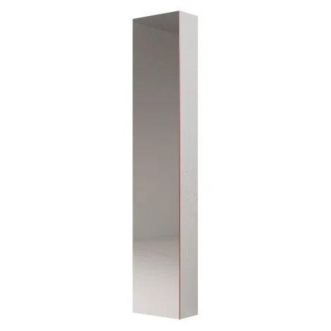 Minotti Ambrogio mirror cabinet