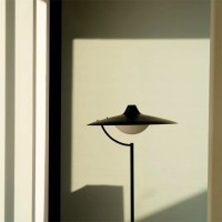 DCW Biny floor lamp