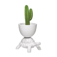 Qeeboo Turtle Carry Planter and Cooler