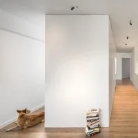 Flos Light Shadow Pro 45 Push