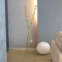 Driade appendiabiti Acate