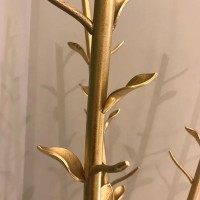 Driade appendiabiti Acate