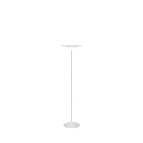 Penta Narciso floor lamp