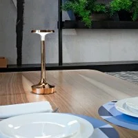 copy of Flos Bon Jour Unplugged LED battery Lamp white