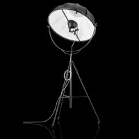 Pallucco Fortuny Floor Lamp