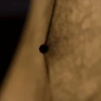 Flos Fantasma Lampada da Terra bianco in Resina Cocoon By Tobia Flos Fantasma Lampada da Terra bianco in Resina Cocoon By Tobia