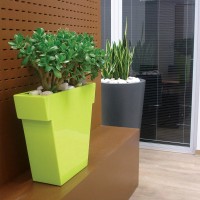 copy of Slide Gio Tondo plant vase
