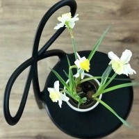 Qeeboo Ribbon Chair sedia decorativa