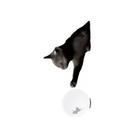 Karman Maoo wall lamp