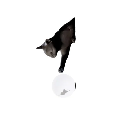 Karman Maoo wall lamp