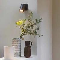 Astro Lighting Ascoli Single led wall ceiling lamp