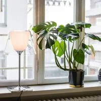 Flos Ktribe T1 Lampada da Tavolo a luce diffusa dimmerabile by