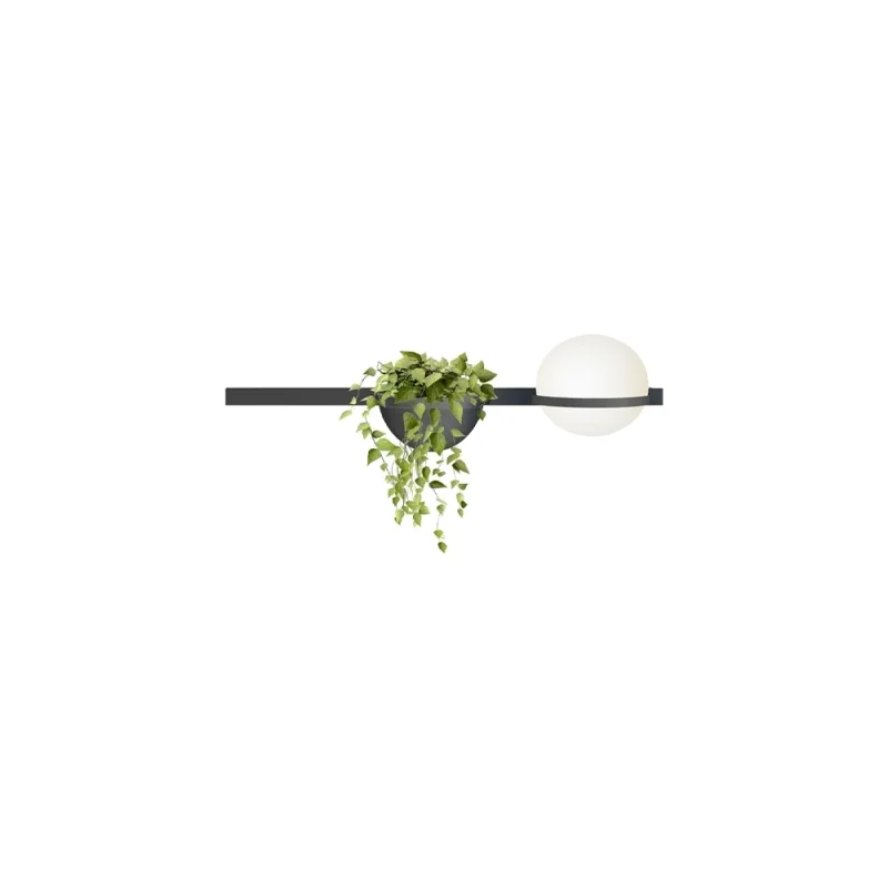 Vibia applique Palma luce singola e vaso Vibia applique Palma luce singola e vaso