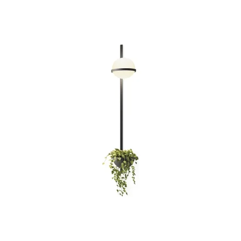 Vibia applique Palma luce singola e vaso