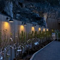 Louis Poulsen Toldbod 220 outdoor wall lamp